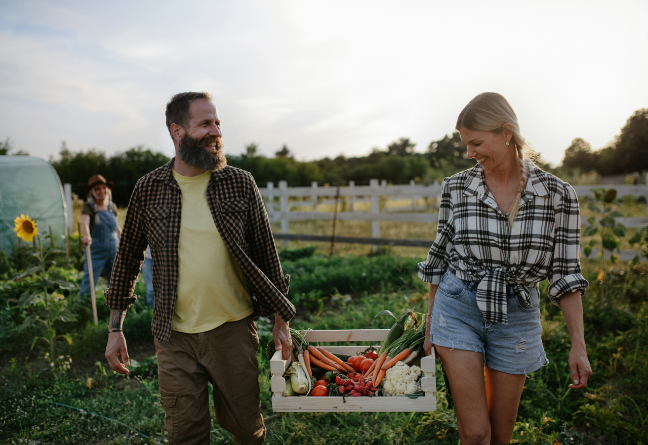 A top down view of a rustic wooden crate overflowing with vibrant red, yellow, and deep purple heirloom tomatoes resting on a light green tiled surface. Fresh green vines are scattered across the produce, highlighting the farm to table quality of our market garden.