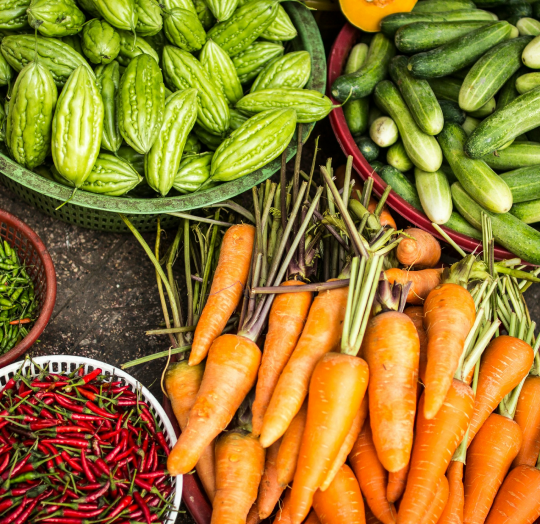 A top down view of fresh seasonal vegetables including baskets of bitter melon cucumbers red chili peppers and a large pile of carrots representing the Market Garden collection.