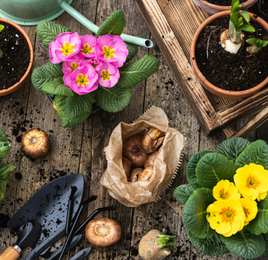 Home & Garden