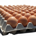 Farm-Fresh Free-Range Eggs (Flat-30)